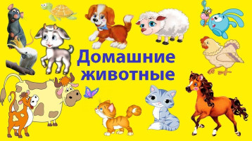 "Домашние животные" "Домашние животные".