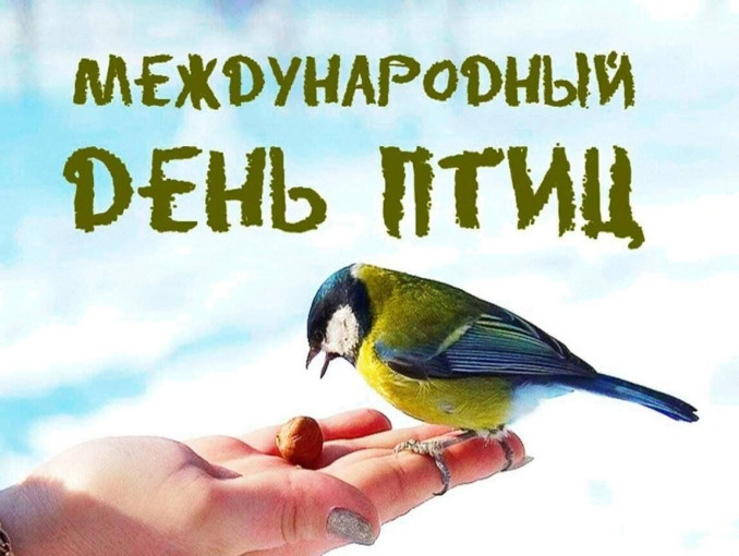 Международный день птиц Международный день птиц.